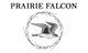 Prairie Falcon